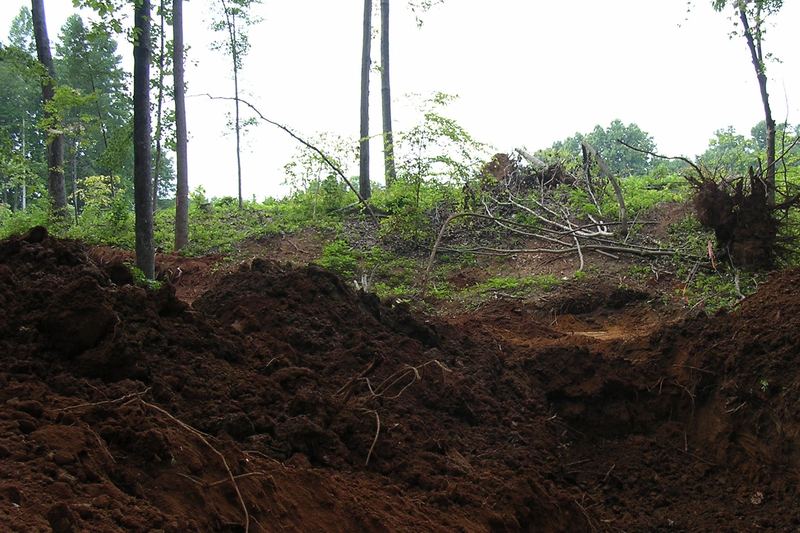 Deep excavated trench on a wooded lot